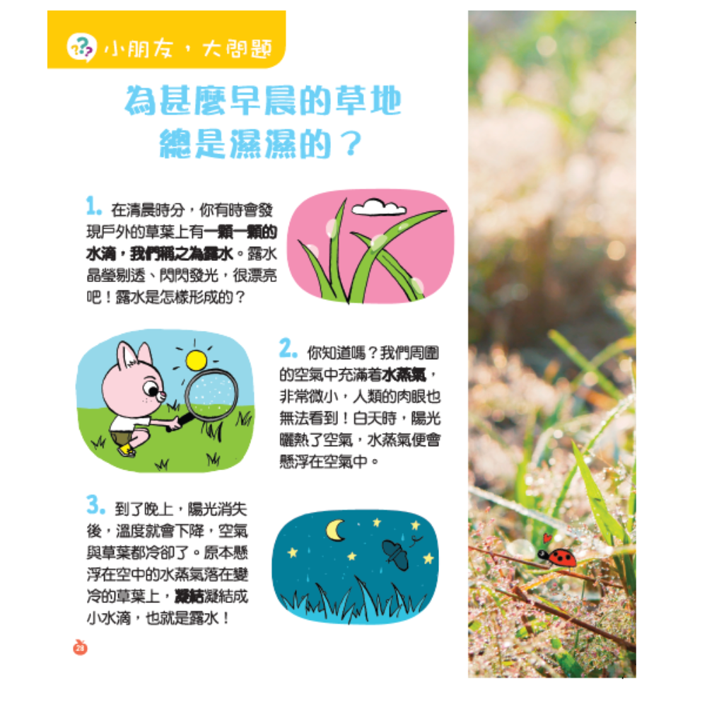 小小紅蘋果 Little Red Apple: Ages 3 - 8