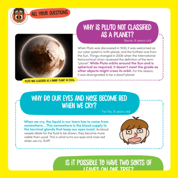 DiscoveryBox: Ages 7-14 - Image 4