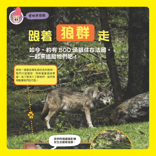 DiscoveryBox: Ages 7-14 - CHINESE EDITION (中文版) - Image 5