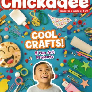 ChickaDEE: Ages 6-9 (8 issues)